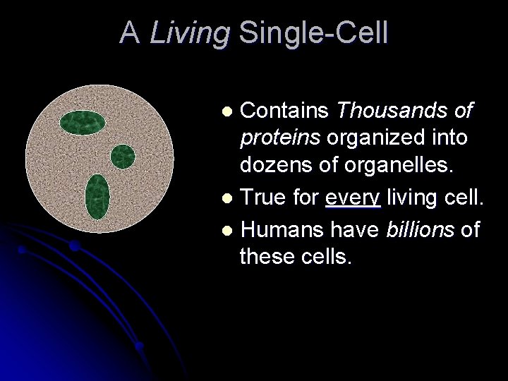 A Living Single-Cell Contains Thousands of proteins organized into dozens of organelles. l True