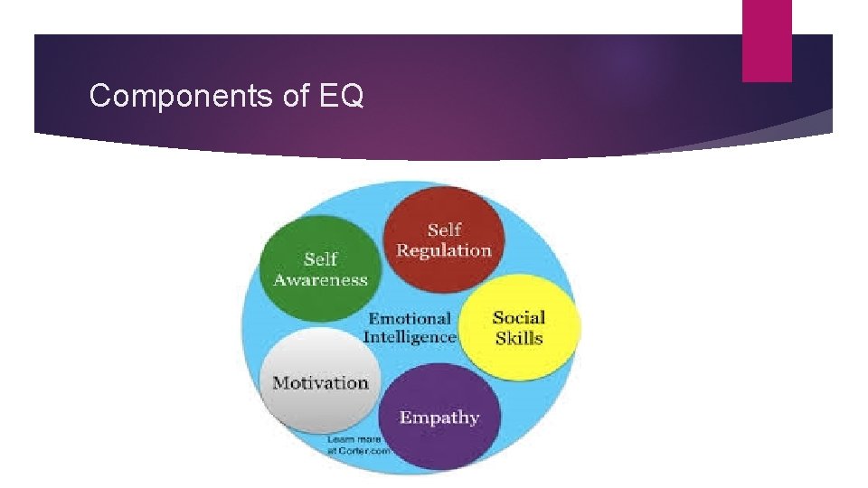 Components of EQ 