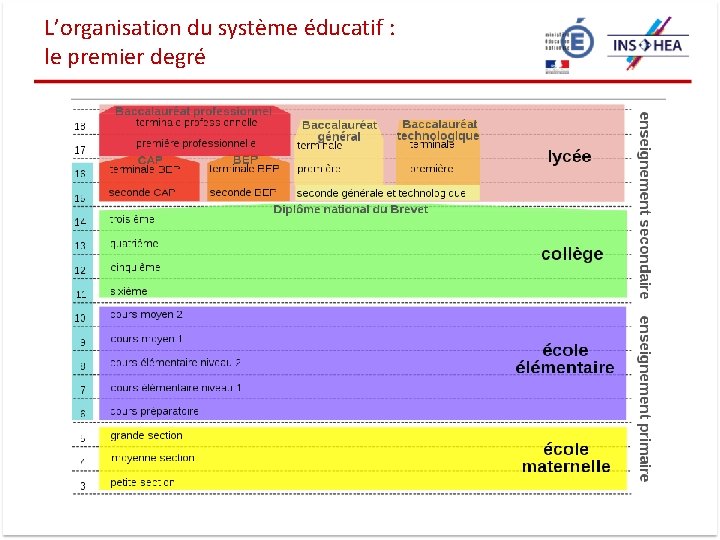 L’organisation du système éducatif : le premier degré 