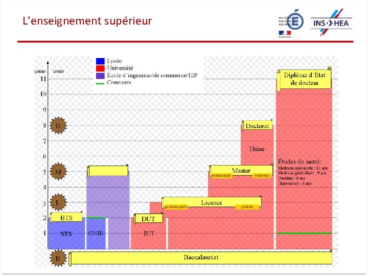 L’enseignement supérieur 