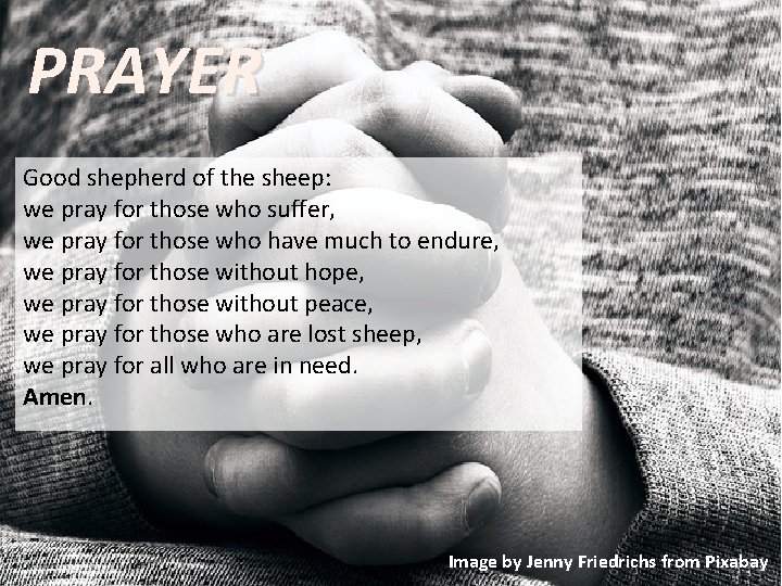 PRAYER Good shepherd of the sheep: we pray for those who suffer, we pray