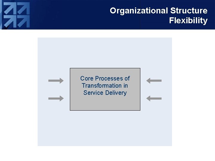 Organizational Structure Flexibility Core Processes of Transformation in Service Delivery 