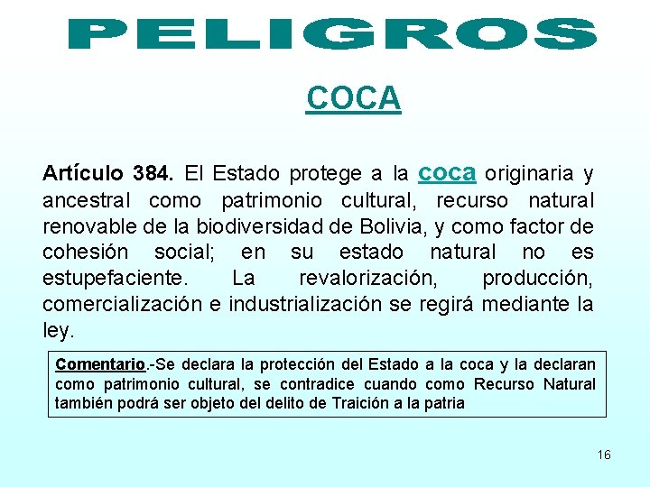 COCA Artículo 384. El Estado protege a la coca originaria y ancestral como patrimonio