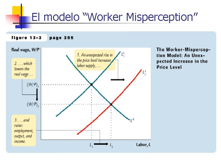 El modelo “Worker Misperception” 