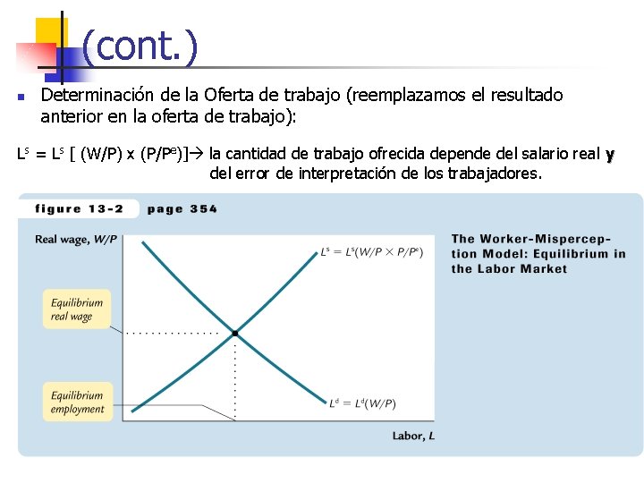 (cont. ) n Determinación de la Oferta de trabajo (reemplazamos el resultado anterior en