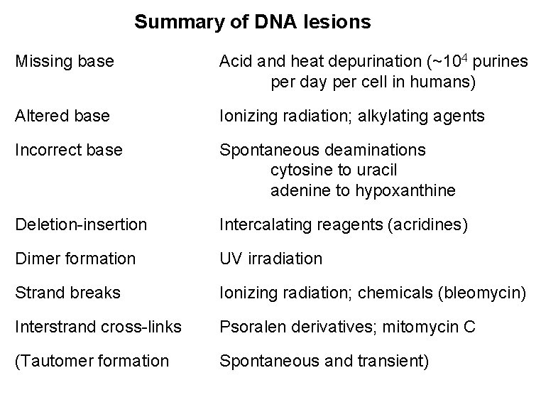 Summary of DNA lesions Missing base Acid and heat depurination (~104 purines per day