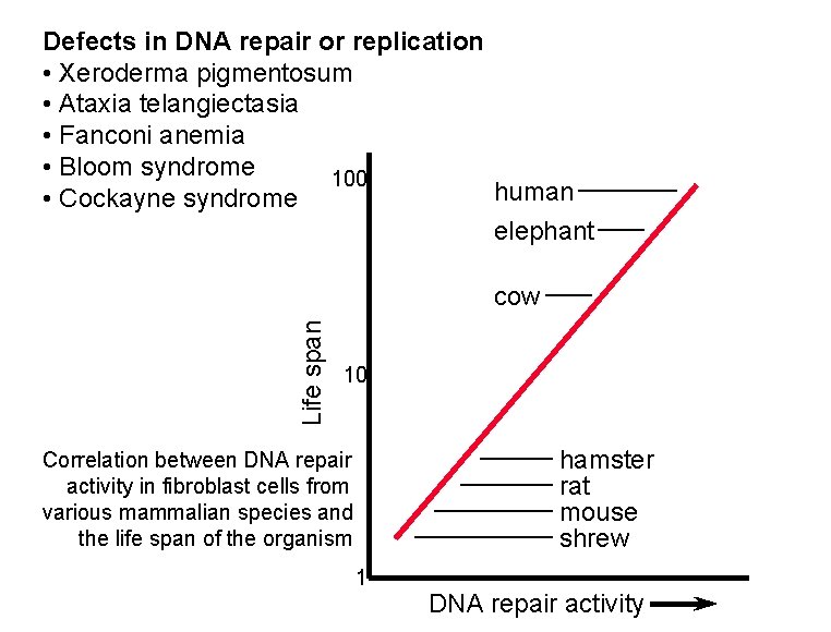 Defects in DNA repair or replication • Xeroderma pigmentosum • Ataxia telangiectasia • Fanconi