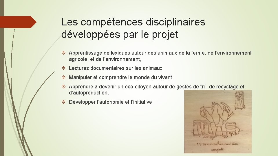 Les compétences disciplinaires développées par le projet Apprentissage de lexiques autour des animaux de