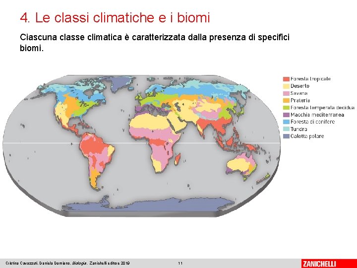 4. Le classi climatiche e i biomi Ciascuna classe climatica è caratterizzata dalla presenza