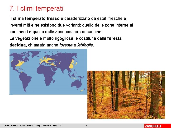 7. I climi temperati Il clima temperato fresco è caratterizzato da estati fresche e