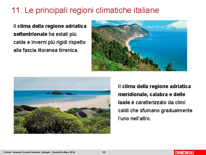 11. Le principali regioni climatiche italiane Il clima della regione adriatica settentrionale ha estati