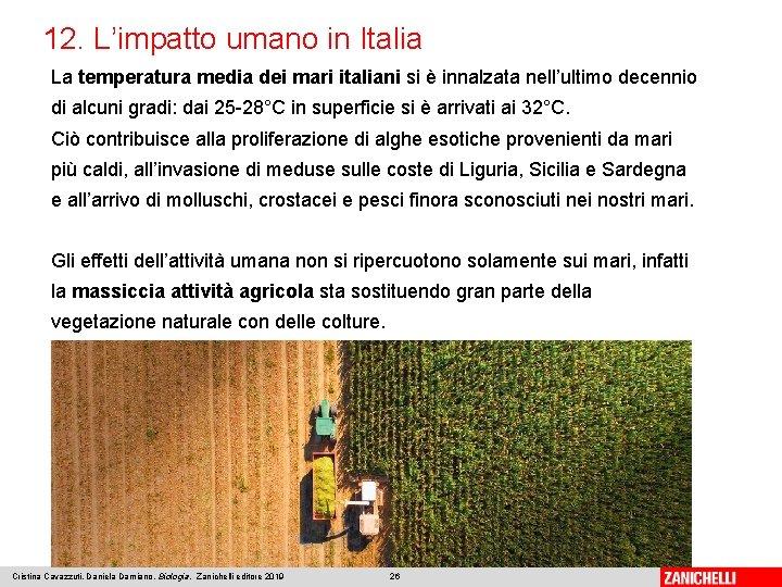 12. L’impatto umano in Italia La temperatura media dei mari italiani si è innalzata