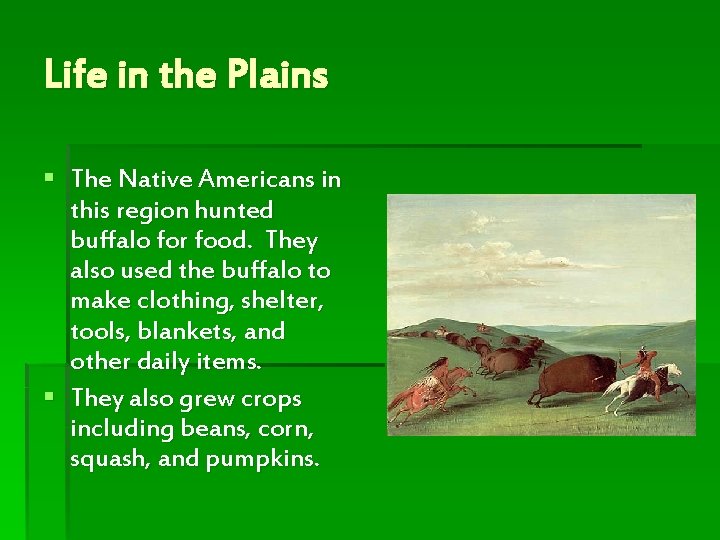 Life in the Plains § The Native Americans in this region hunted buffalo for