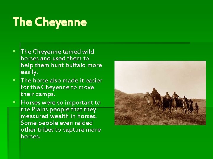 The Cheyenne § The Cheyenne tamed wild horses and used them to help them