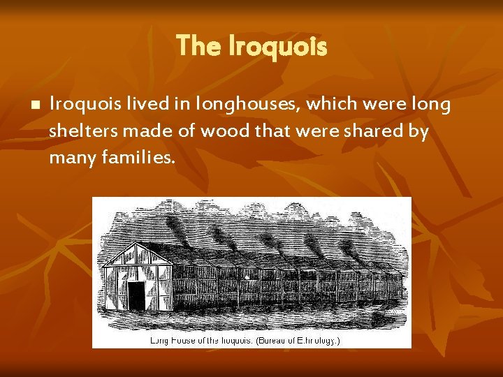 The Iroquois n Iroquois lived in longhouses, which were long shelters made of wood