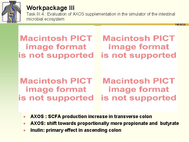 Workpackage III Task III. 4. : Evaluation of AXOS supplementation in the simulator of