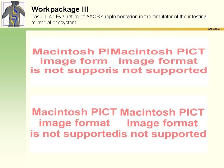 Workpackage III Task III. 4. : Evaluation of AXOS supplementation in the simulator of