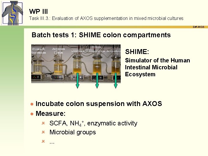 WP III Task III. 3. : Evaluation of AXOS supplementation in mixed microbial cultures