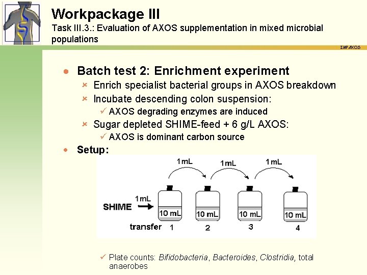 Workpackage III Task III. 3. : Evaluation of AXOS supplementation in mixed microbial populations