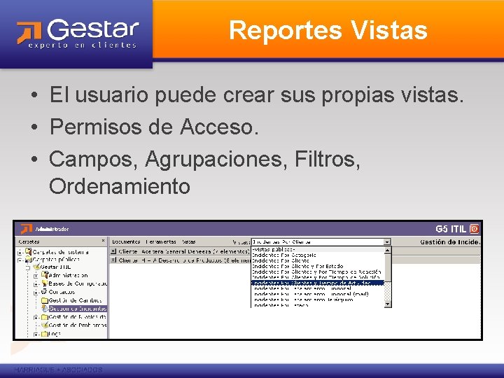 Reportes Vistas • El usuario puede crear sus propias vistas. • Permisos de Acceso.