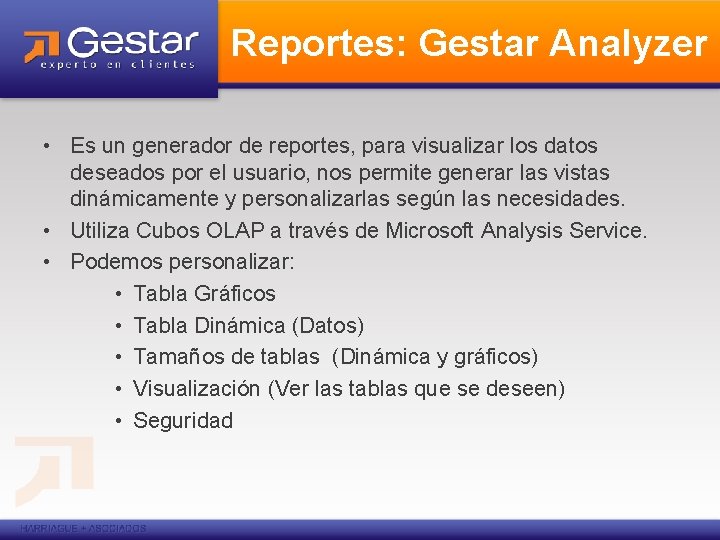 Reportes: Gestar Analyzer • Es un generador de reportes, para visualizar los datos deseados