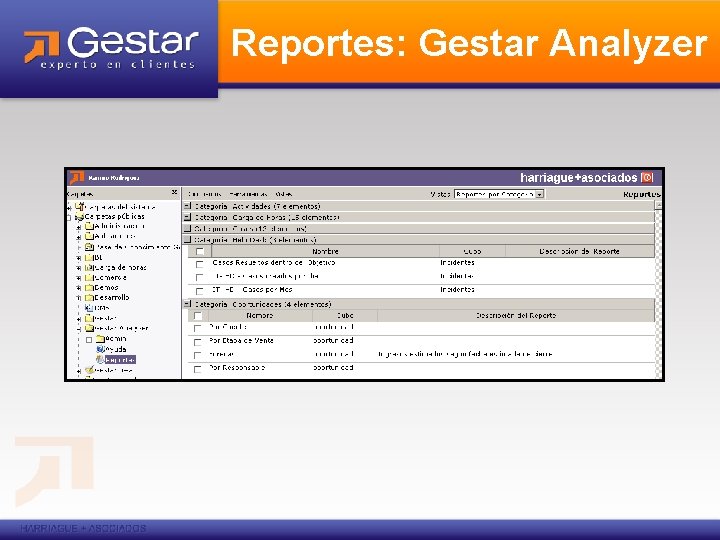 Reportes: Gestar Analyzer 