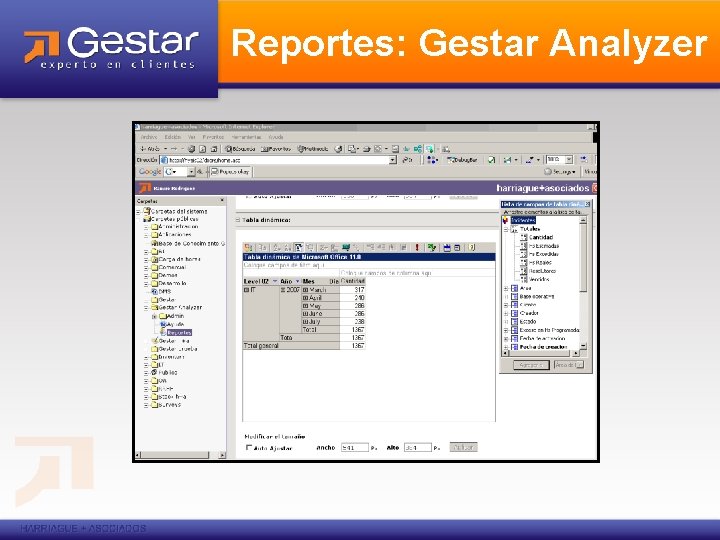 Reportes: Gestar Analyzer 