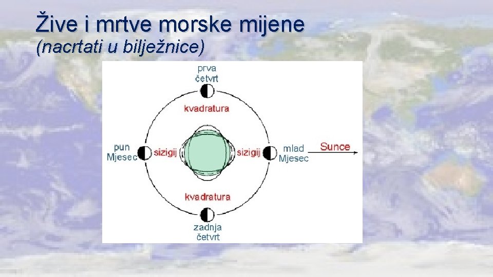 Žive i mrtve morske mijene (nacrtati u bilježnice) 