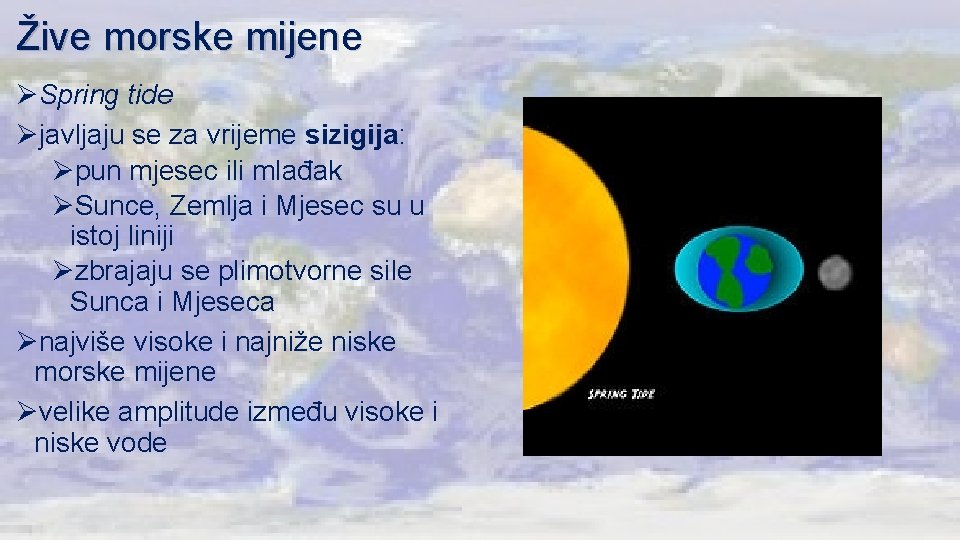 Žive morske mijene ØSpring tide Øjavljaju se za vrijeme sizigija: Øpun mjesec ili mlađak