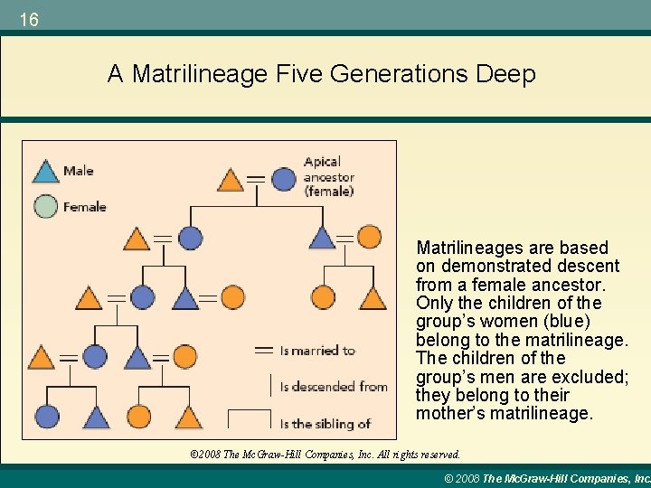 16 A Matrilineage Five Generations Deep Matrilineages are based on demonstrated descent from a