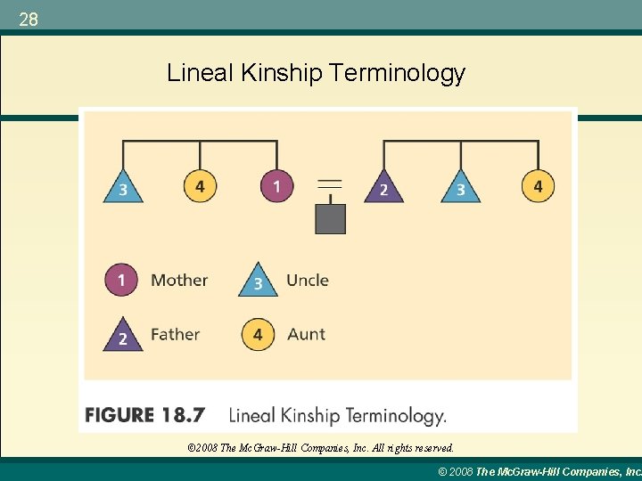 28 Lineal Kinship Terminology © 2008 The Mc. Graw-Hill Companies, Inc. All rights reserved.