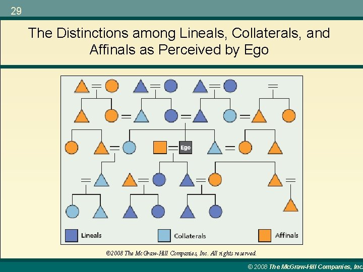 29 The Distinctions among Lineals, Collaterals, and Affinals as Perceived by Ego © 2008