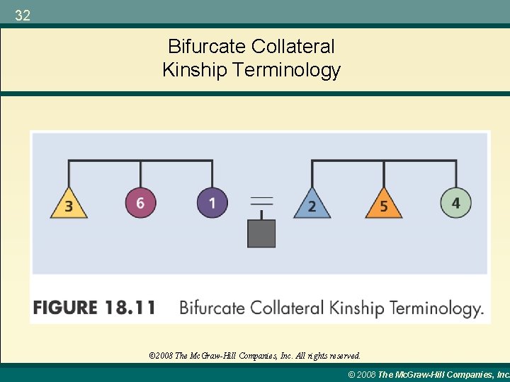 32 Bifurcate Collateral Kinship Terminology © 2008 The Mc. Graw-Hill Companies, Inc. All rights