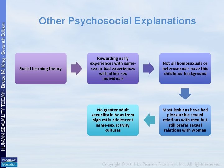 Other Psychosocial Explanations Social learning theory Rewarding early experiences with samesex or bad experiences
