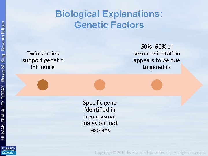 Biological Explanations: Genetic Factors 50% -60% of sexual orientation appears to be due to Biological Explanations: Genetic Factors 50% -60% of sexual orientation appears to be due to