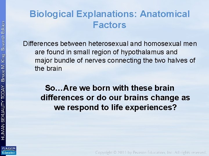 Biological Explanations: Anatomical Factors Differences between heterosexual and homosexual men are found in small Biological Explanations: Anatomical Factors Differences between heterosexual and homosexual men are found in small