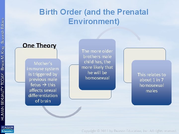 Birth Order (and the Prenatal Environment) One Theory Mother’s immune system is triggered by