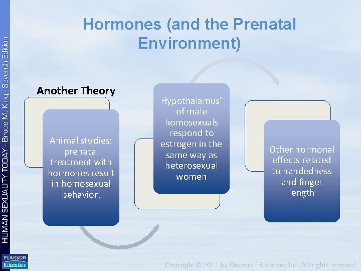 Hormones (and the Prenatal Environment) Another Theory Animal studies: prenatal treatment with hormones result