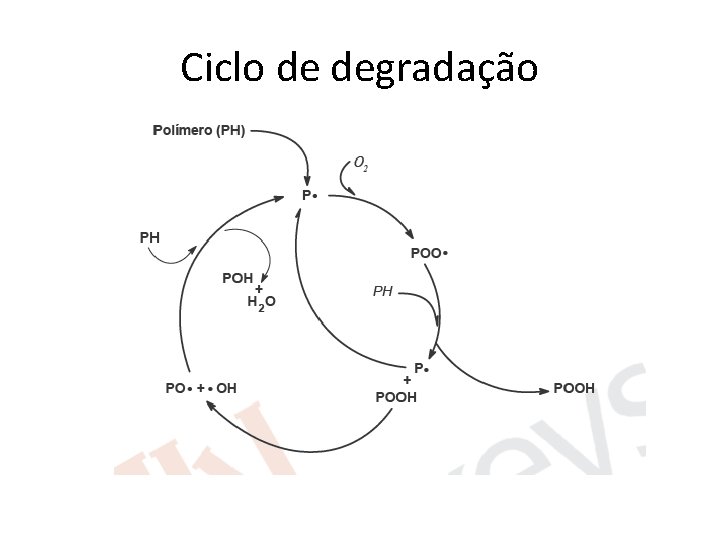 Ciclo de degradação 