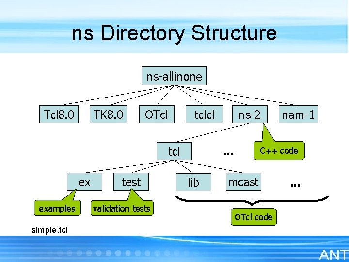 ns Directory Structure ns-allinone Tcl 8. 0 TK 8. 0 OTcl tclcl. . .