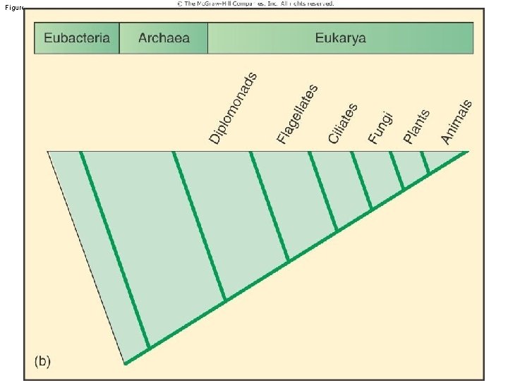 Figure 7. 2 (b) 