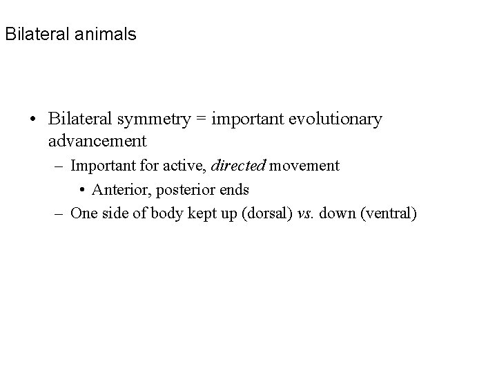 Bilateral animals • Bilateral symmetry = important evolutionary advancement – Important for active, directed