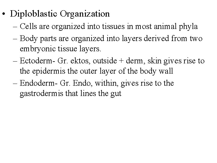  • Diploblastic Organization – Cells are organized into tissues in most animal phyla