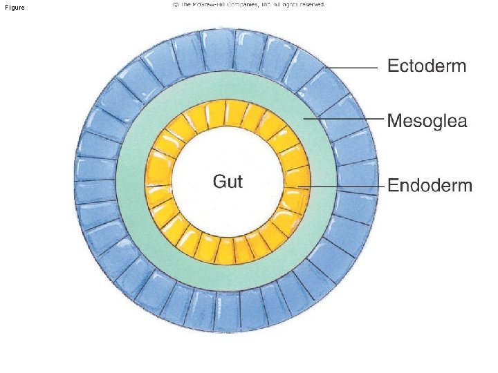 Figure 7. 10 