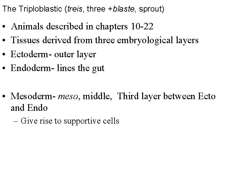 The Triploblastic (treis, three +blaste, sprout) • • Animals described in chapters 10 -22
