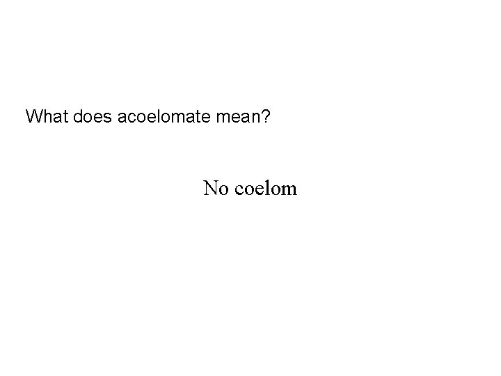 What does acoelomate mean? No coelom 