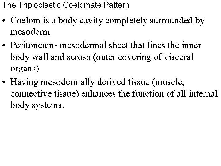 The Triploblastic Coelomate Pattern • Coelom is a body cavity completely surrounded by mesoderm