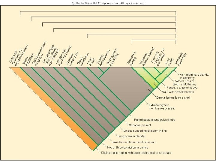 Figure 7. 6 