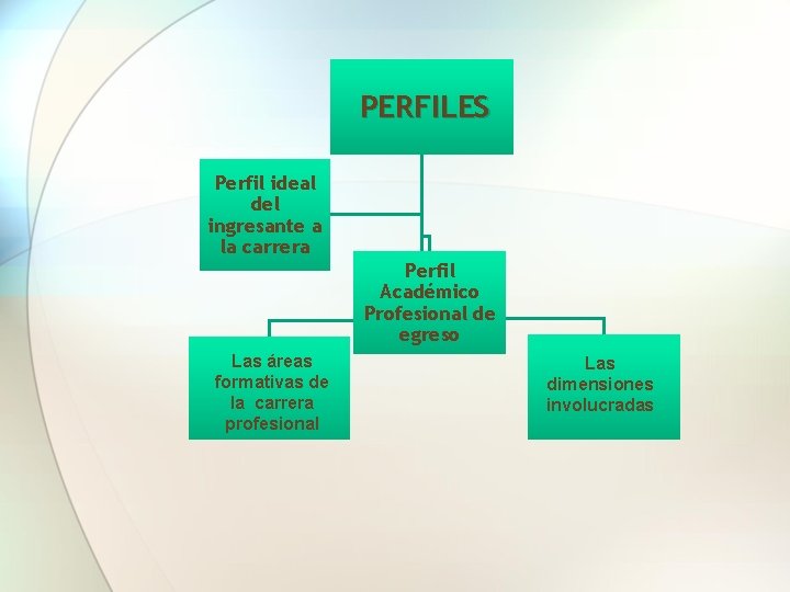 PERFILES Perfil ideal del ingresante a la carrera Perfil Académico Profesional de egreso Las