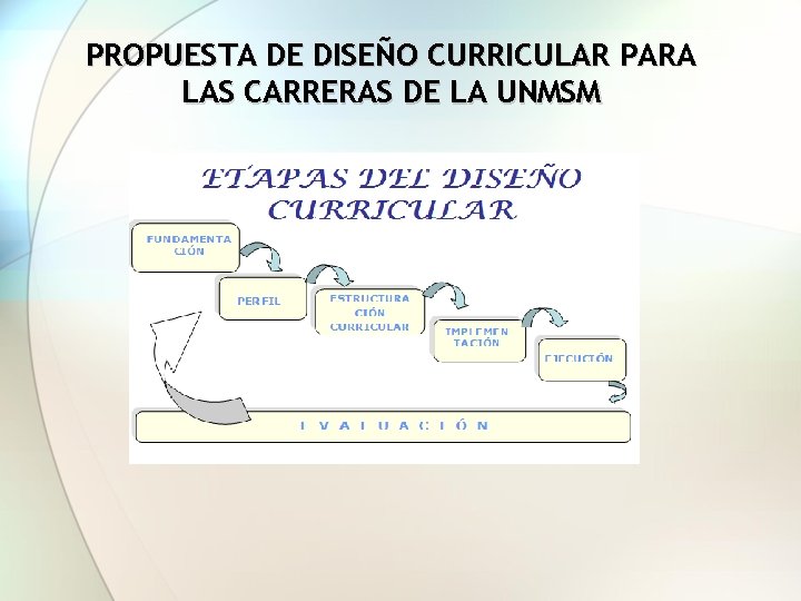 PROPUESTA DE DISEÑO CURRICULAR PARA LAS CARRERAS DE LA UNMSM 